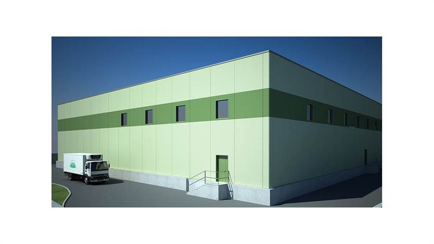 Photo 11