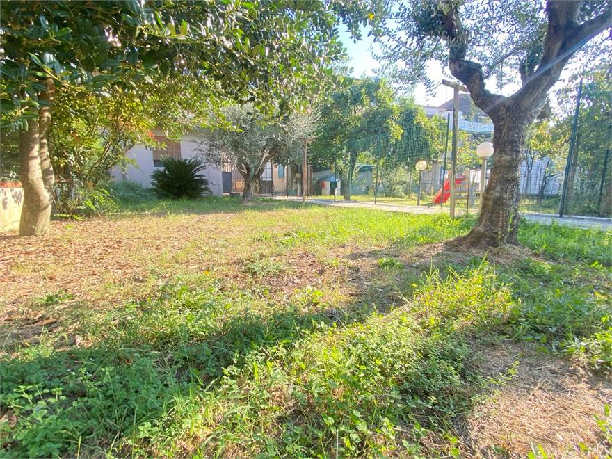 Giardino