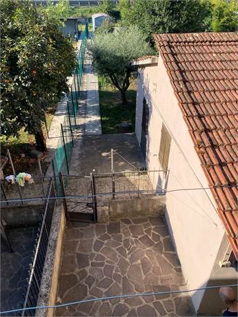 Annessi esterni