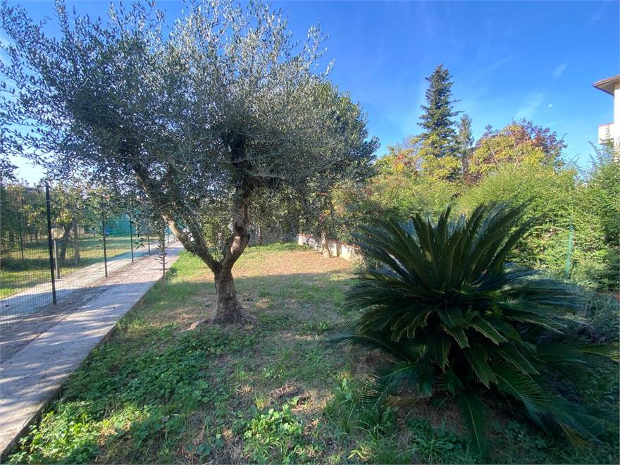 Giardino