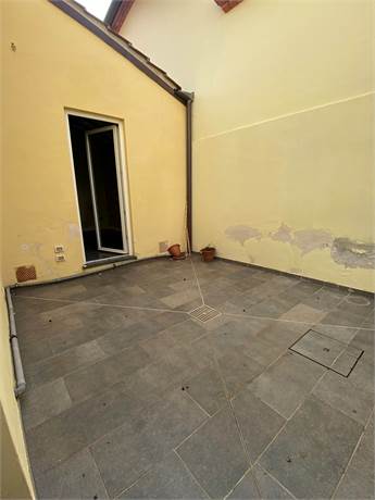 Resede privata tergale